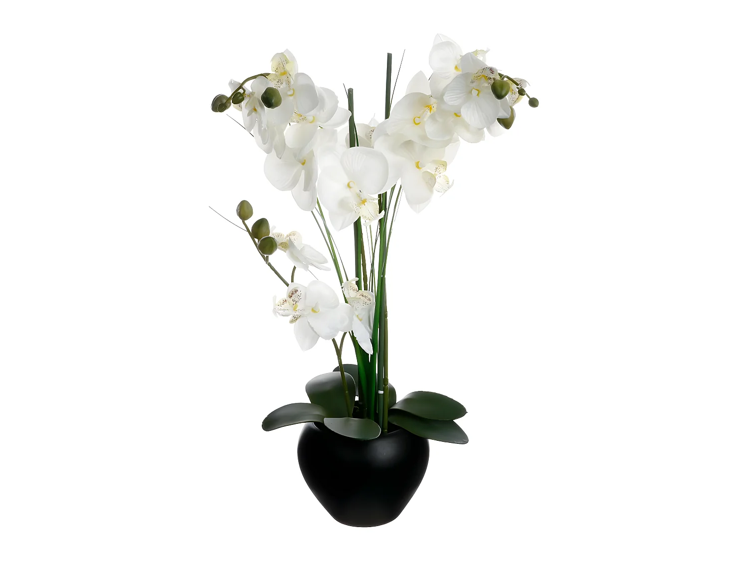 Plante artificielle Orchidée dans un pot en céramique noire H 53 cm