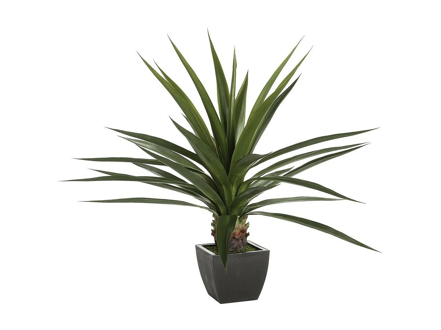 Plante verte artificielle Agave en pot H 124 cm