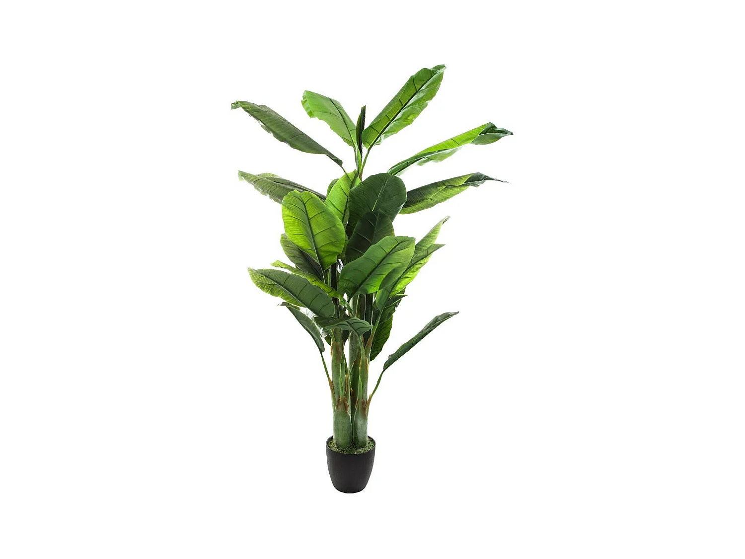 Plante artificielle Bananier en pot H 170 cm