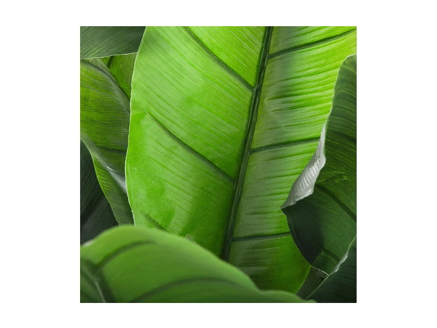 Plante artificielle Bananier en pot H 170 cm