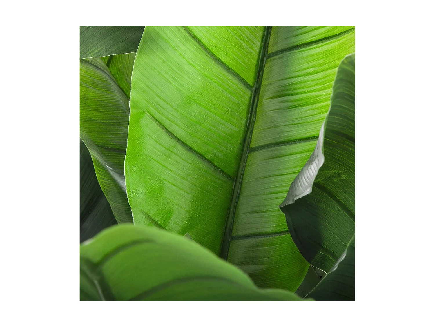 Plante artificielle Bananier en pot H 170 cm