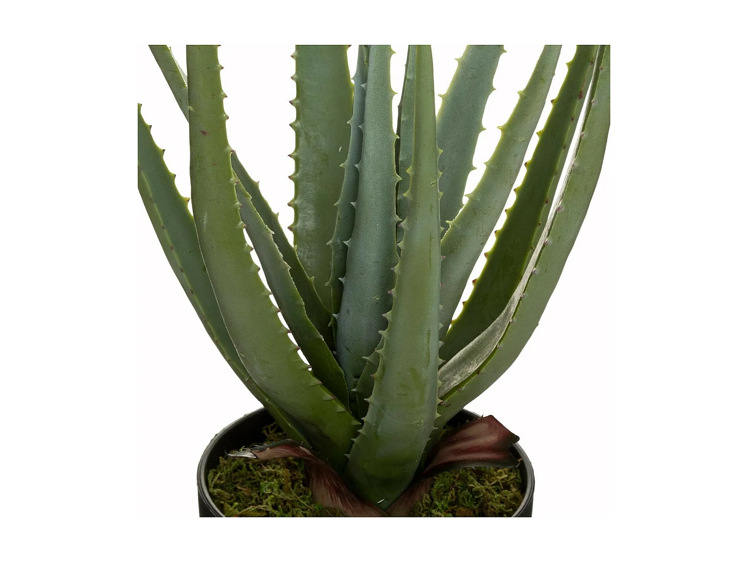 Plante artificielle Aloe Vera en pot H 42 cm
