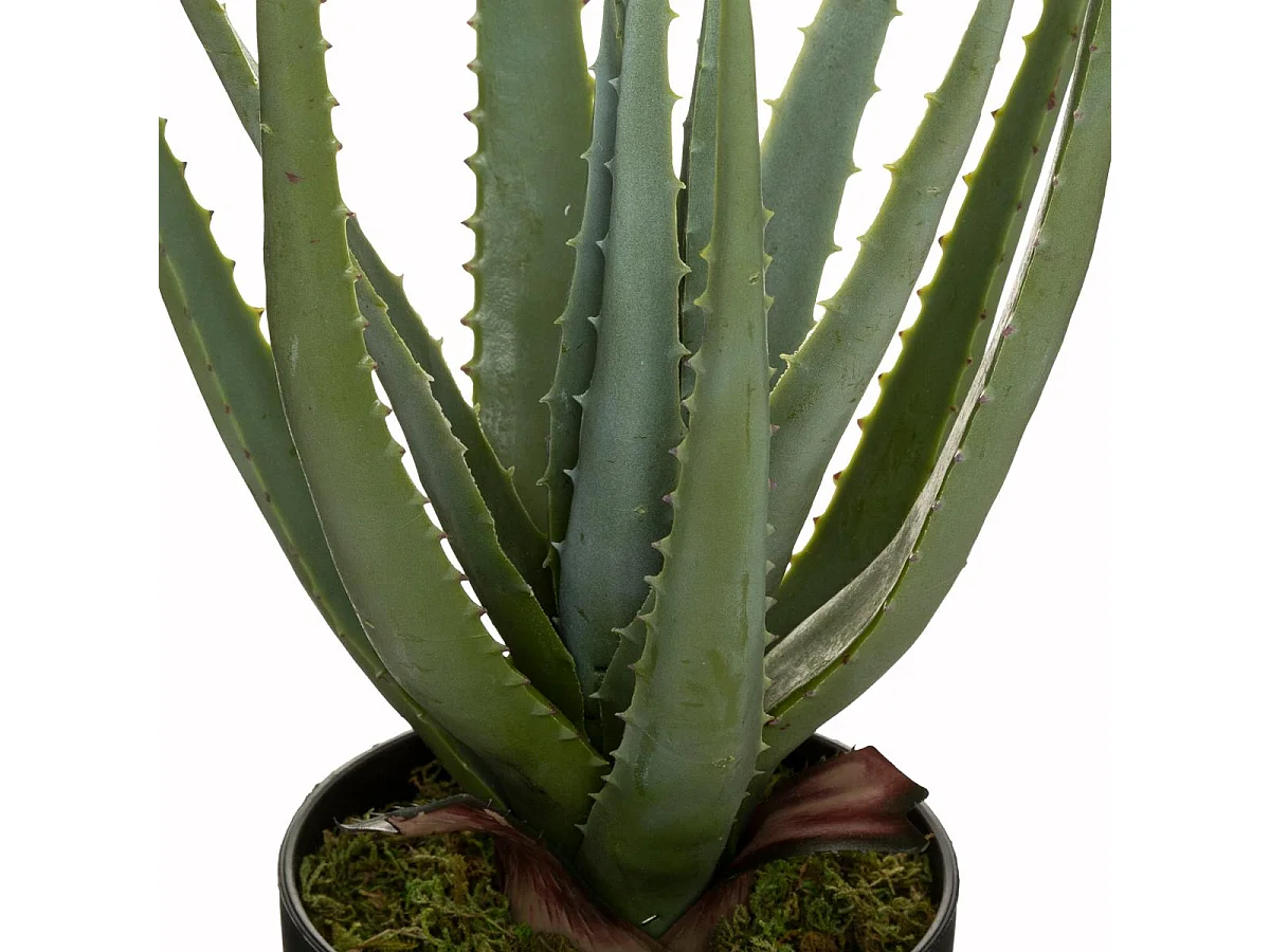 Plante artificielle Aloe Vera en pot H 42 cm