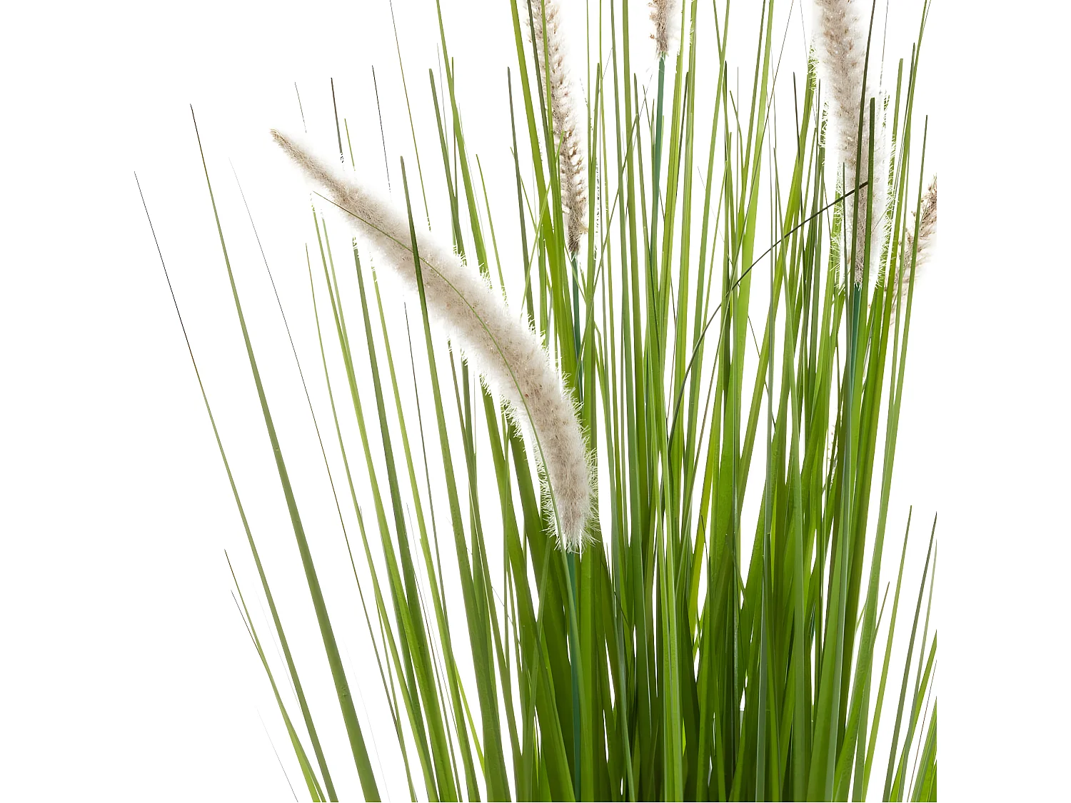 Plante artificielle Bouquet Herbes roseau des étangs​​​​​​​ dans un Pot H 70 cm