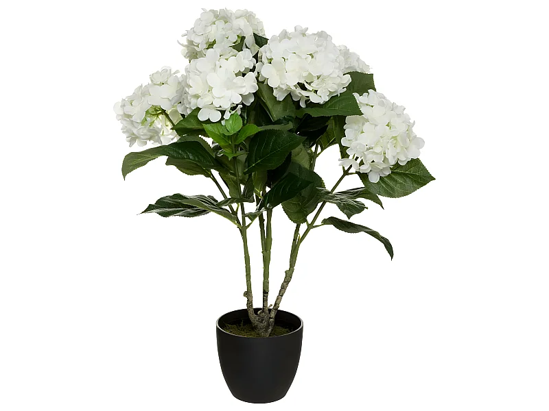 Plante artificielle Hortensia Blanc en pot H 60 cm