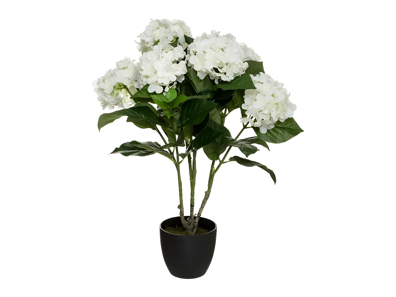 Plante artificielle Hortensia Blanc en pot H 60 cm