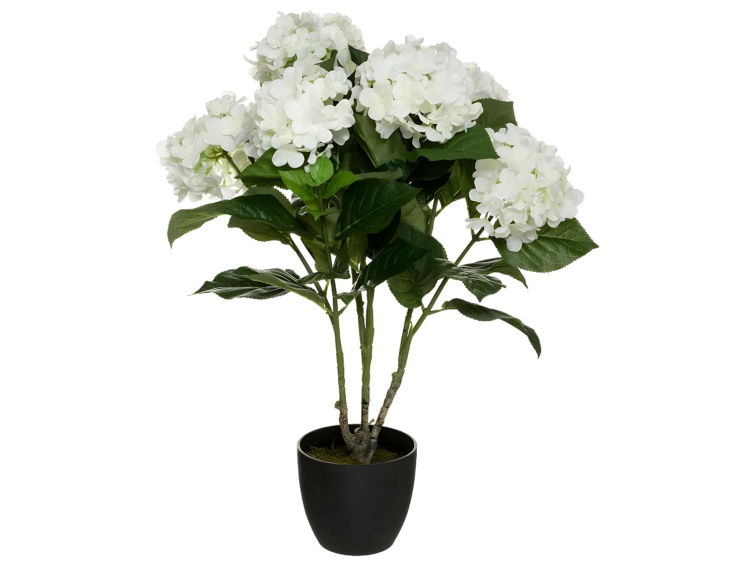 Plante artificielle Hortensia Blanc en pot H 60 cm