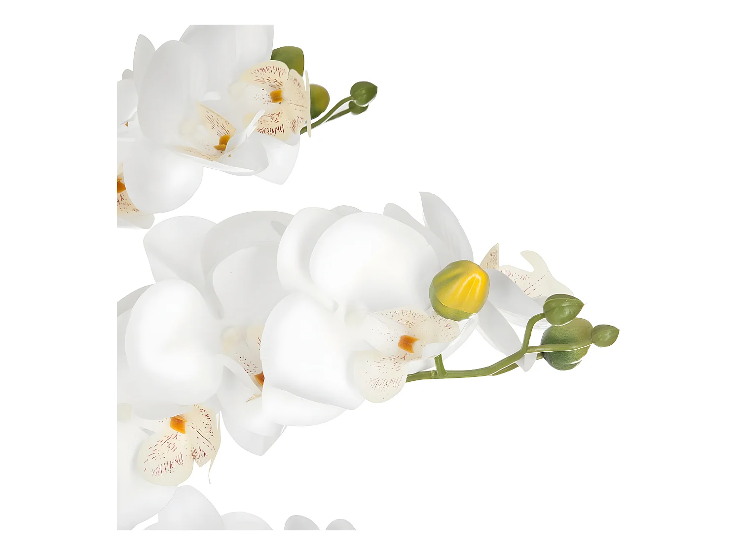 Plante artificielle Orchidée dans Pot en céramique noire H 62 cm