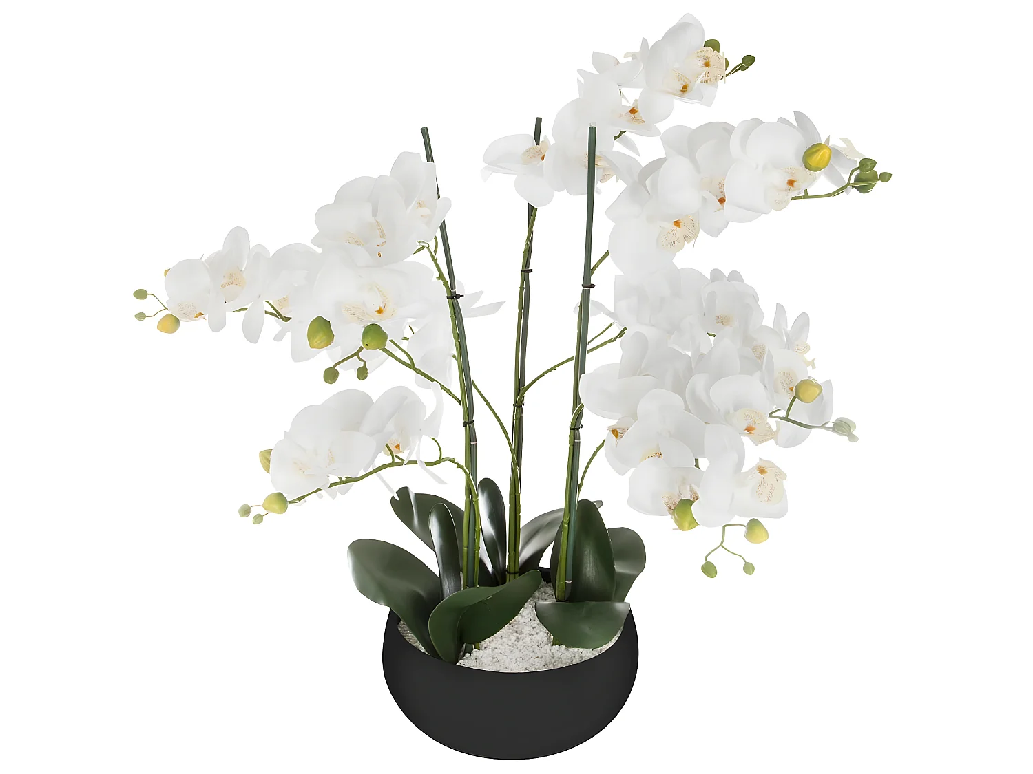 Plante artificielle Orchidée dans Pot en céramique noire H 62 cm