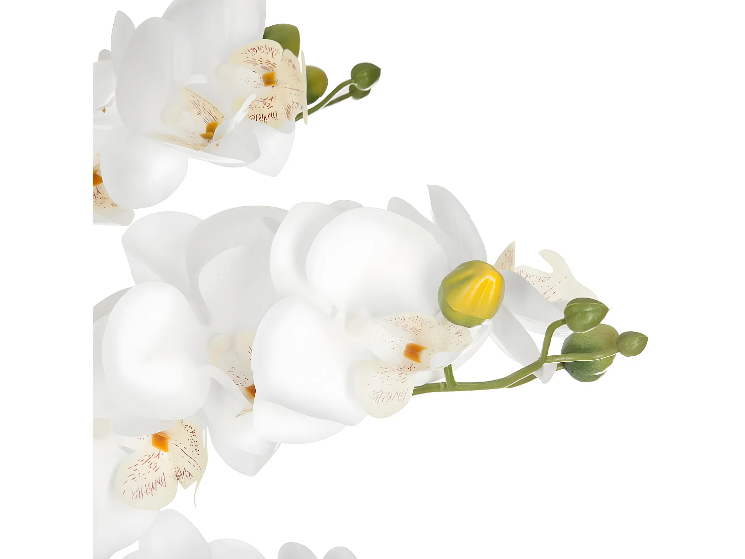 Plante artificielle Orchidée dans Pot en céramique noire H 62 cm