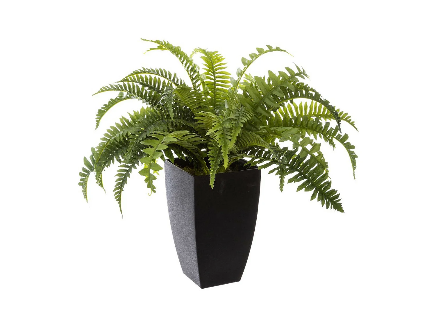 Plante artificielle Fougères en pot H 55 cm