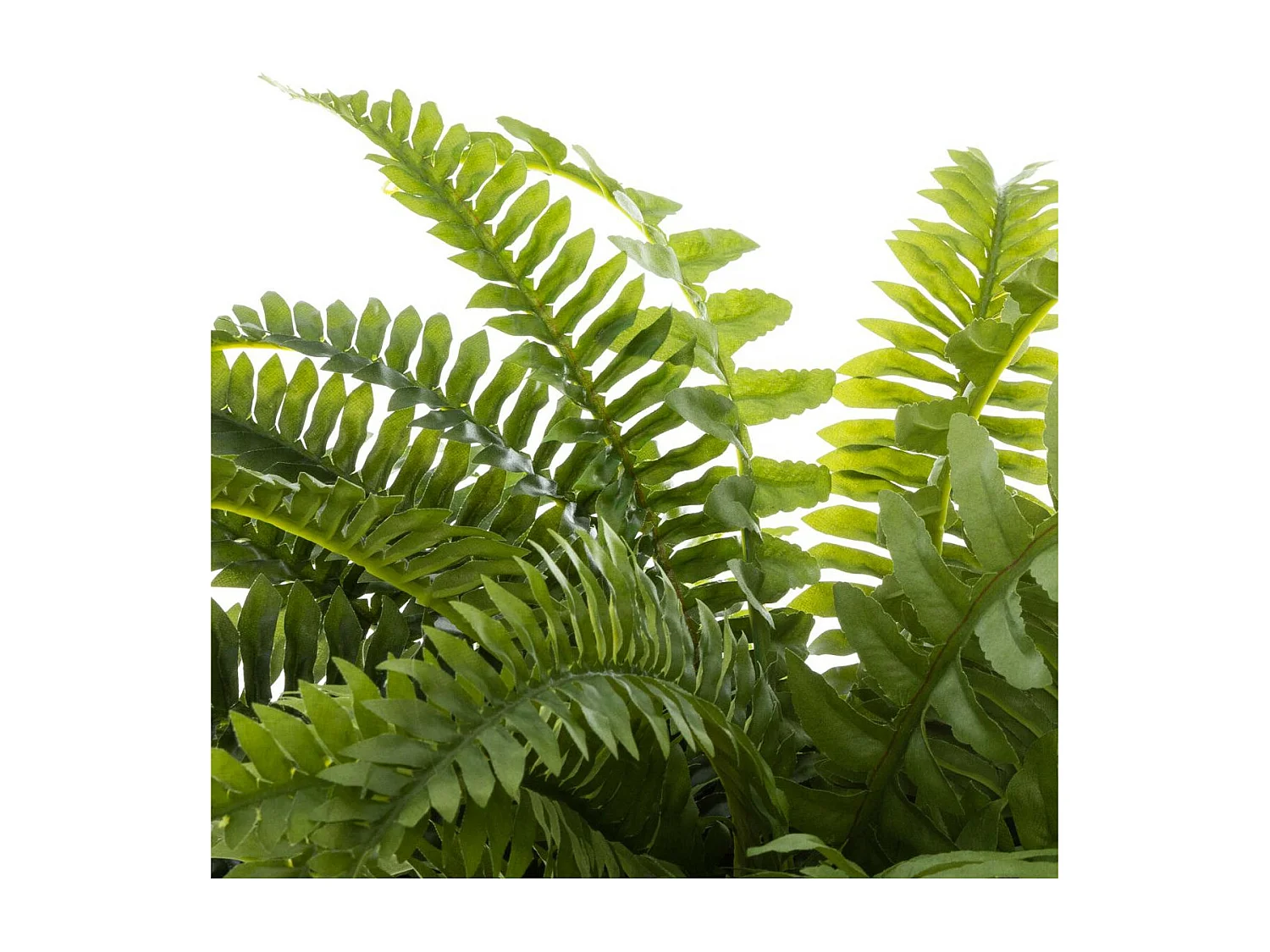 Plante artificielle Fougères en pot H 55 cm