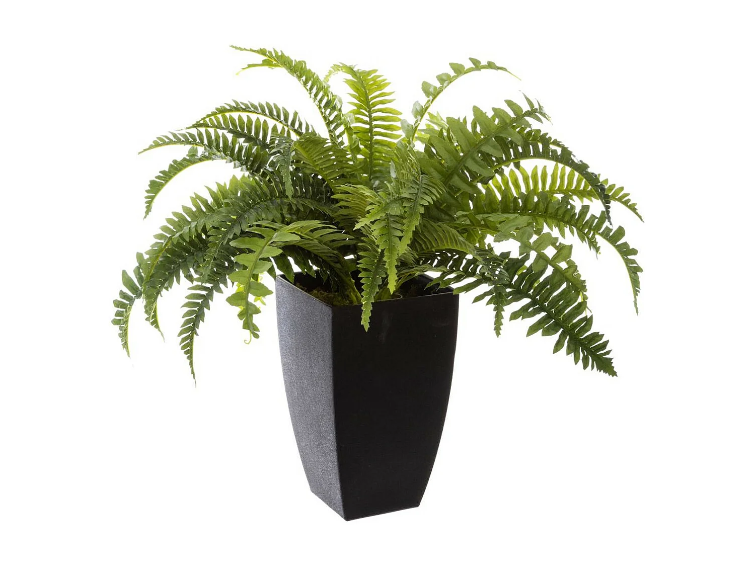 Plante artificielle Fougères en pot H 55 cm
