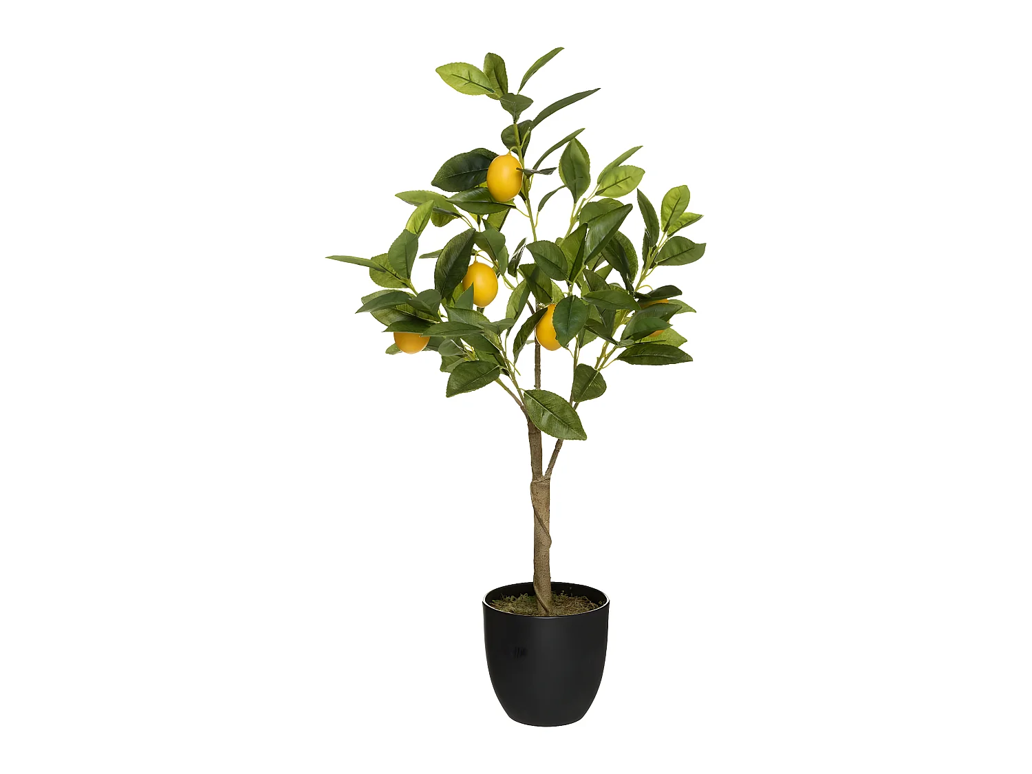 Plante artificielle Citronnier en Pot H 73 cm