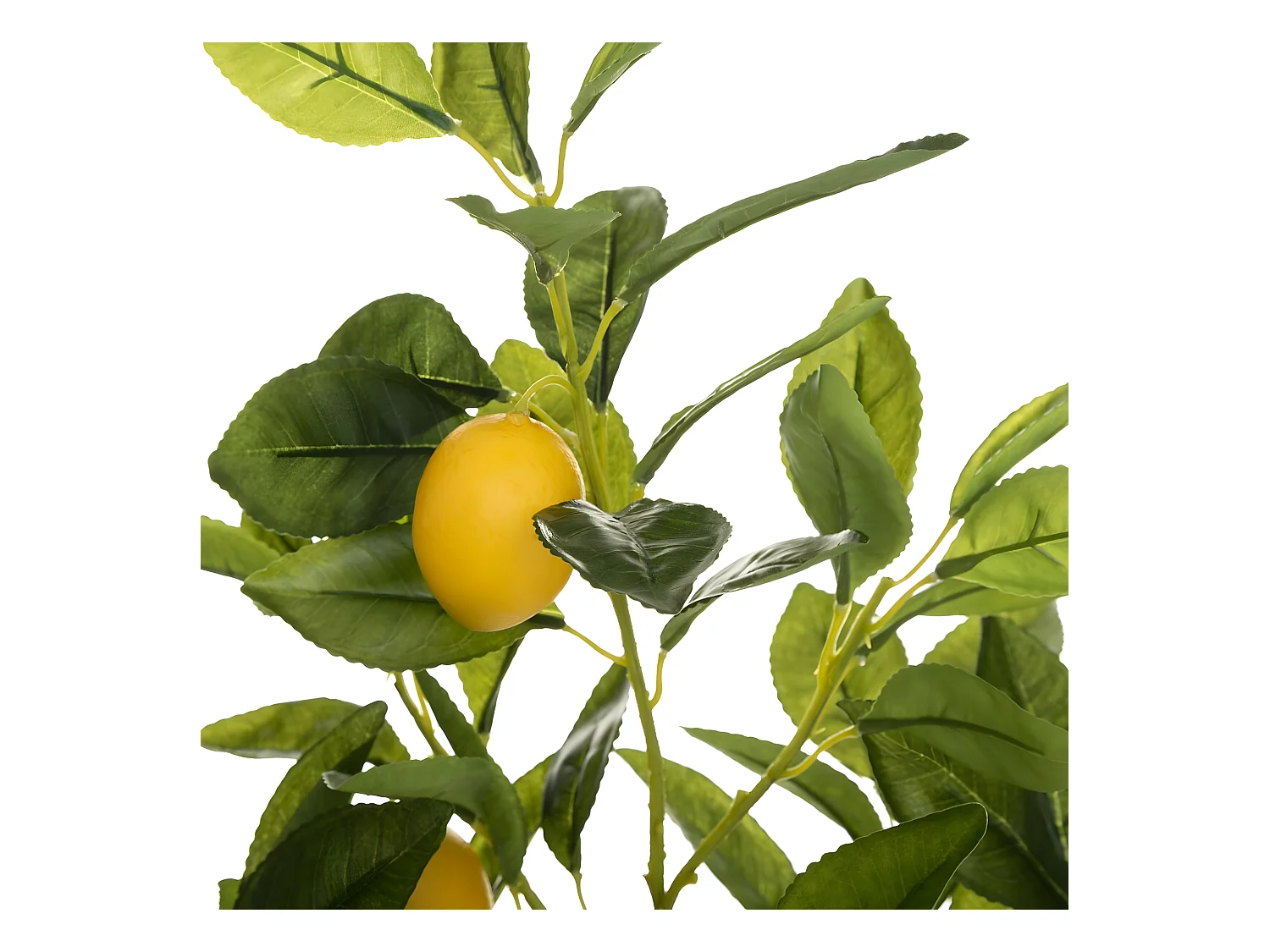 Plante artificielle Citronnier en Pot H 73 cm