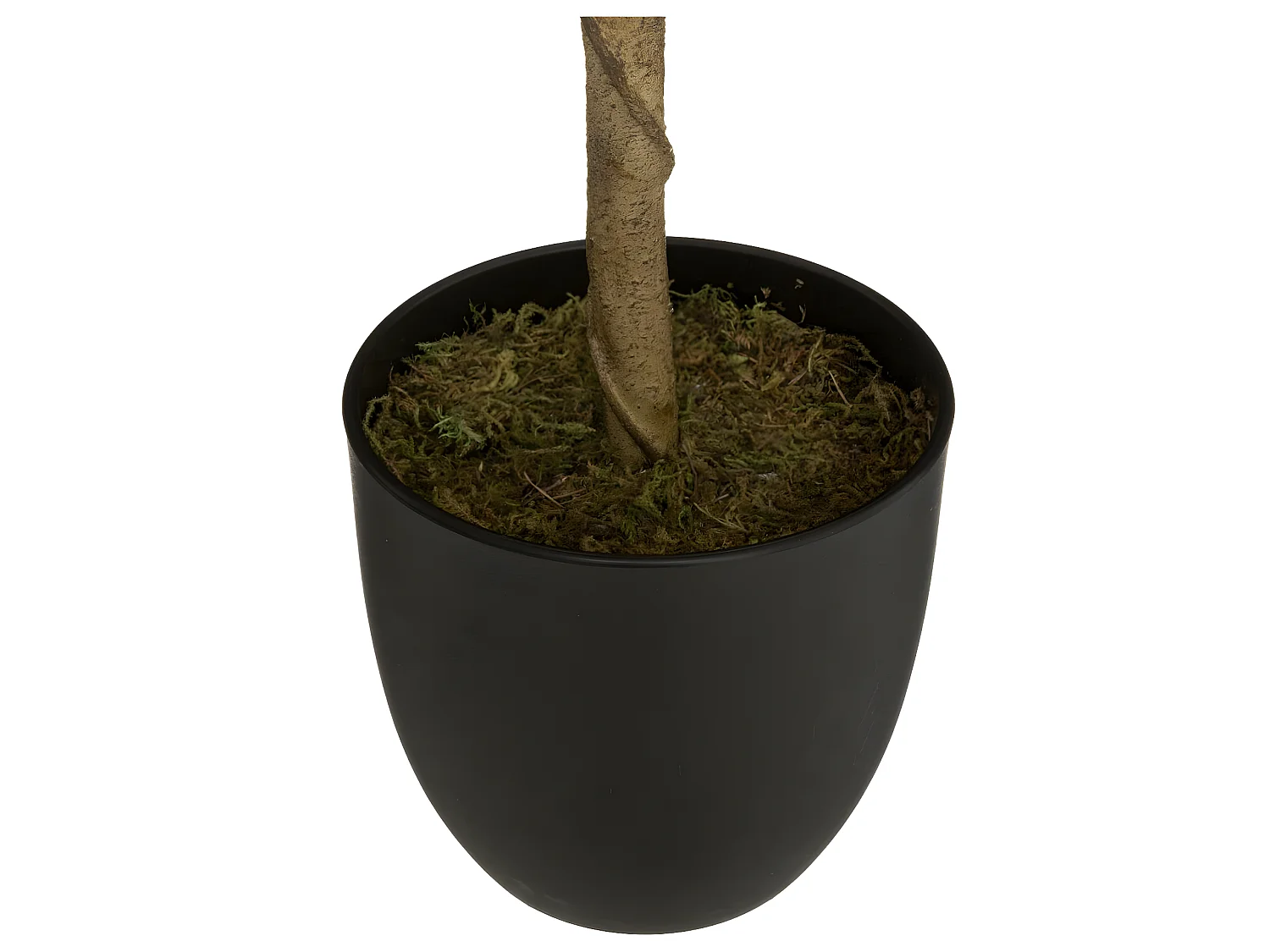 Plante artificielle Citronnier en Pot H 73 cm