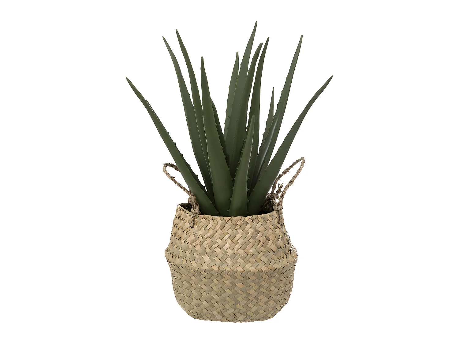 Plante artificielle Aloe vera dans Pot en Roseau H 37 cm