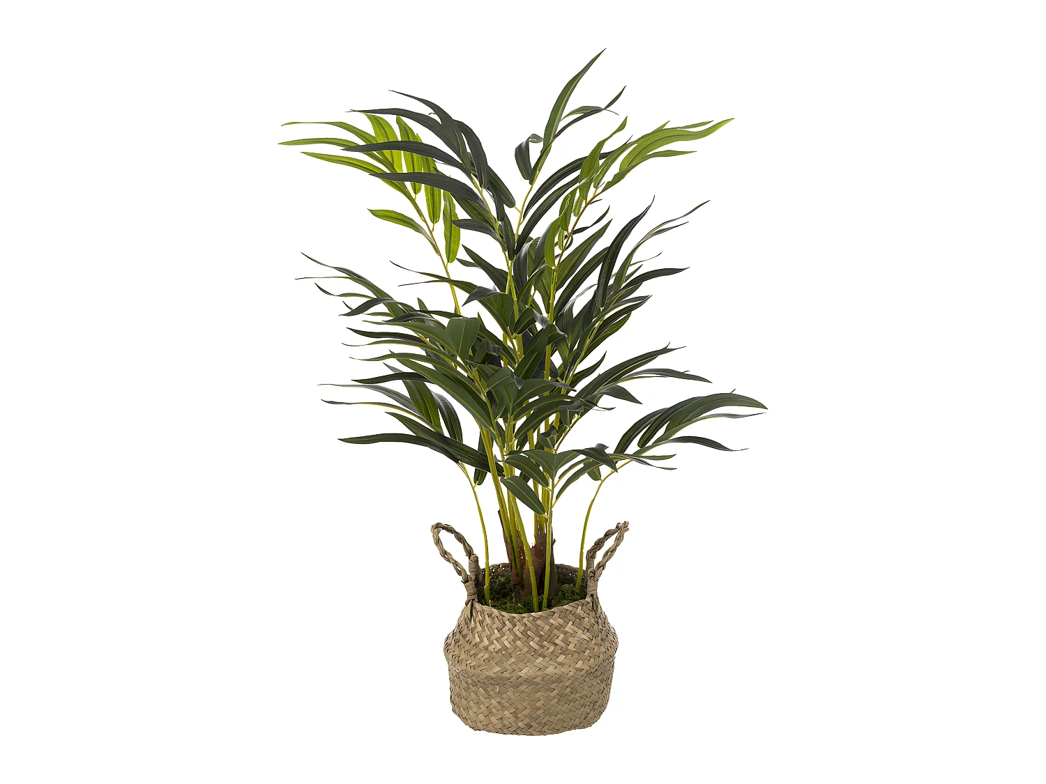 Plante artificielle Palmier dans Pot en Roseau H 80 cm