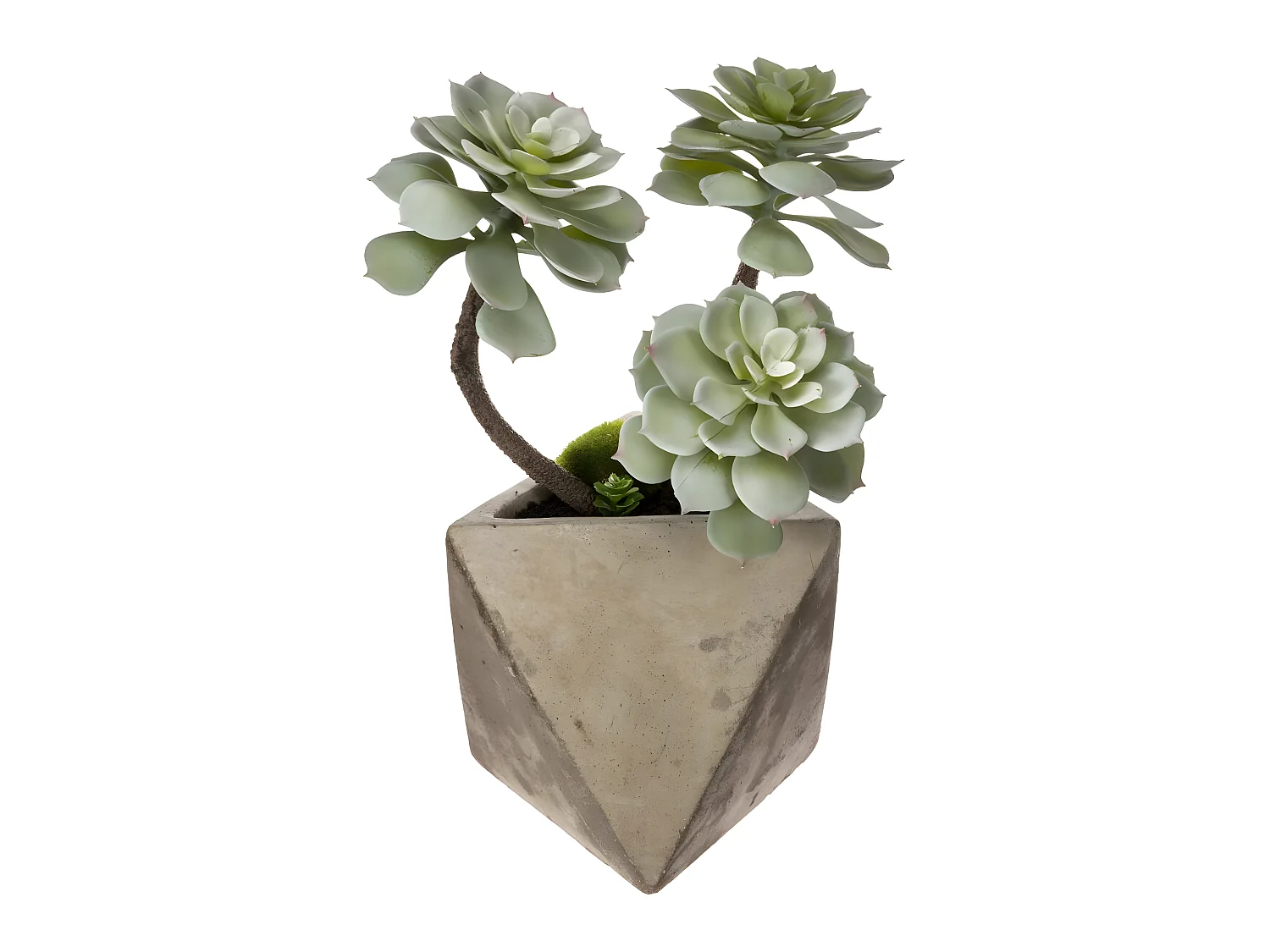 Plante grasse artificielle Pot en céramique H 30 cm