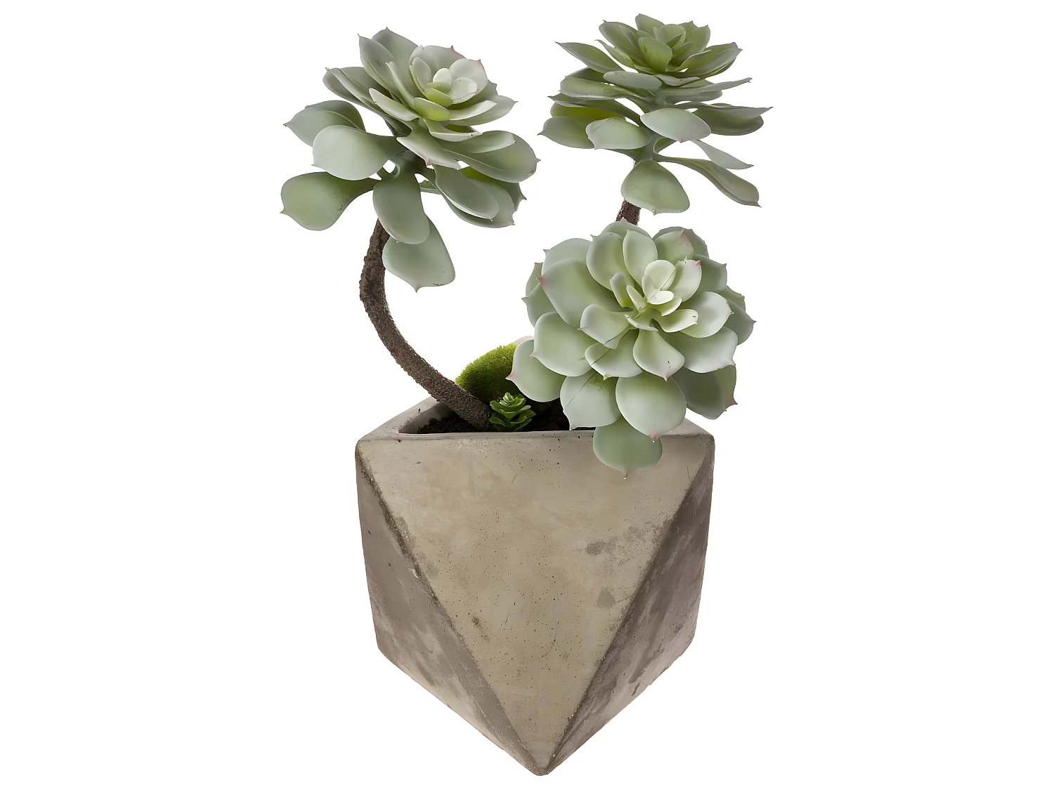 Plante grasse artificielle Pot en céramique H 30 cm