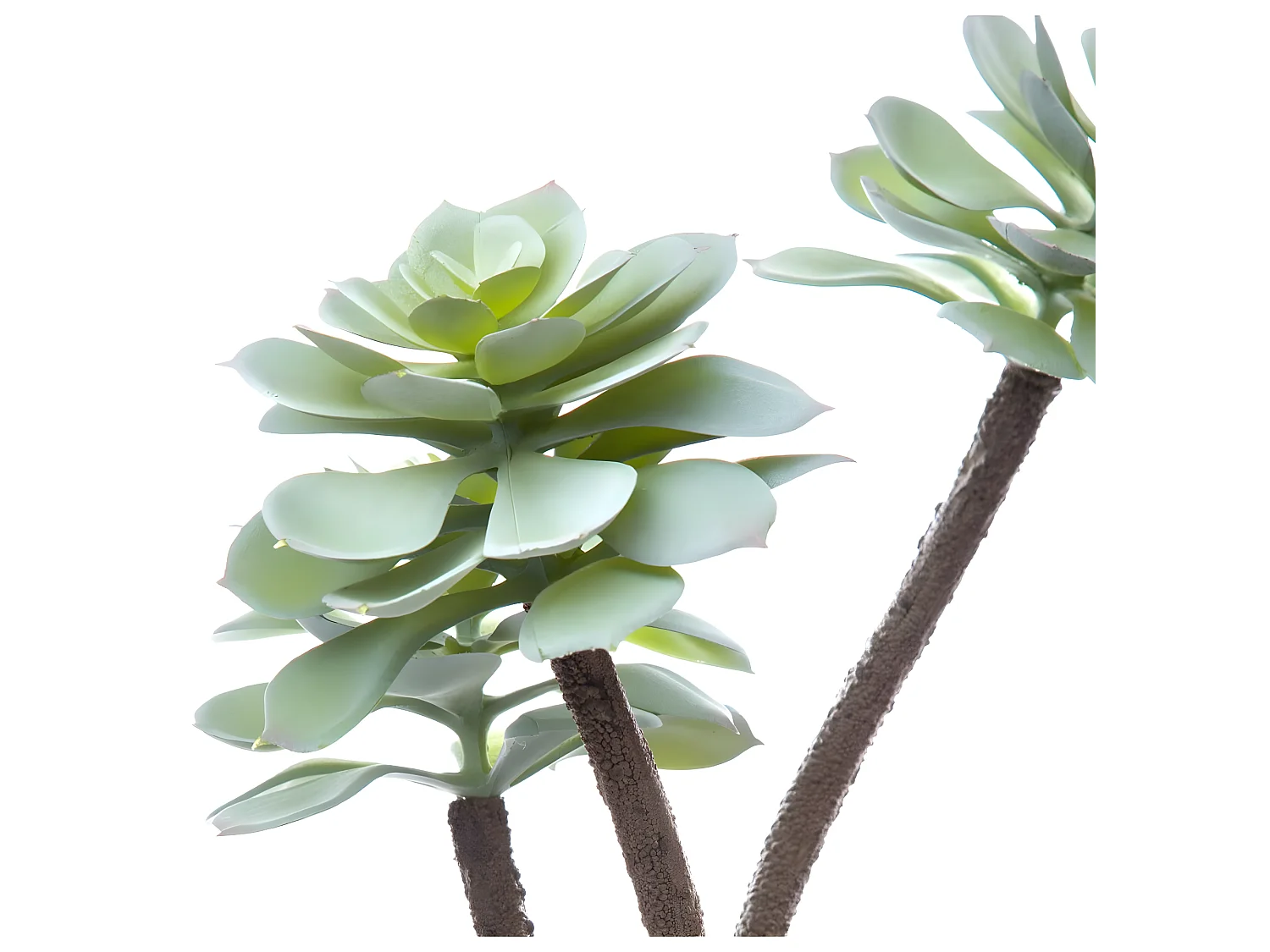 Plante grasse artificielle Pot en céramique H 30 cm