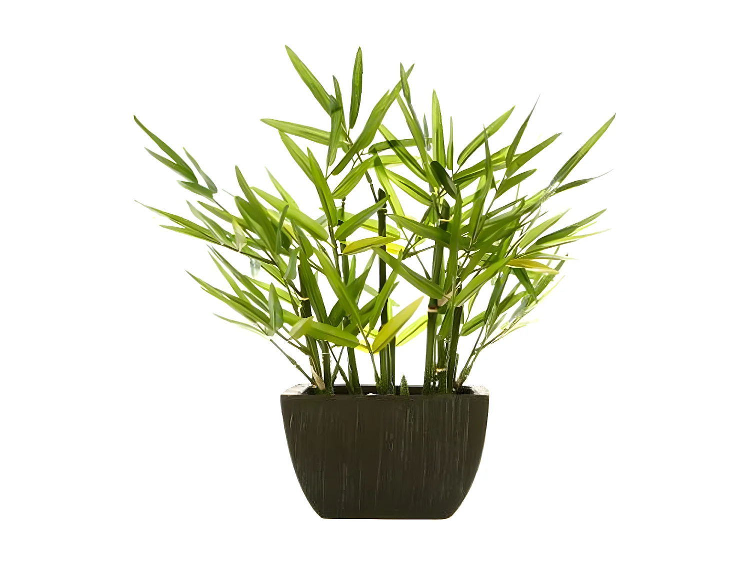 Plante artificielle Bambou en pot H 35 cm