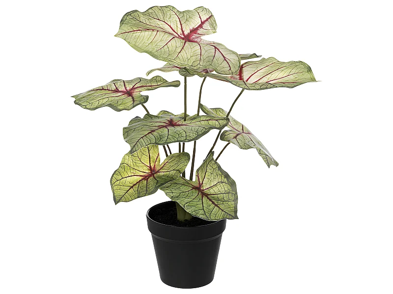 Plante artificielle Caladium en pot D. 34 x H. 41 cm