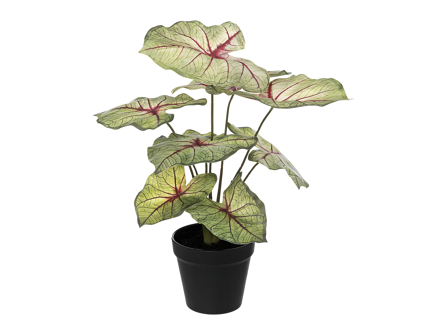 Plante artificielle Caladium en pot D. 34 x H. 41 cm