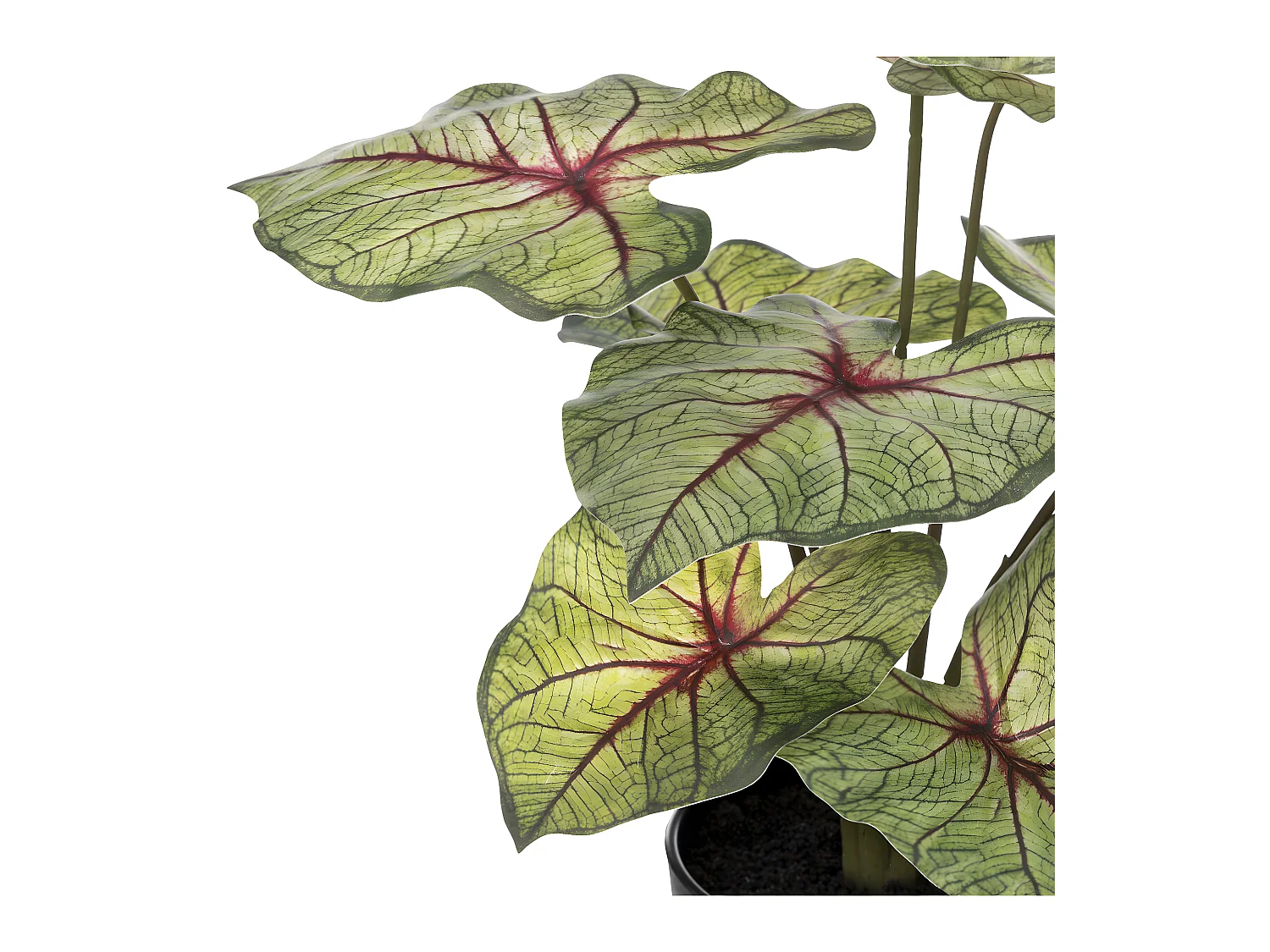 Plante artificielle Caladium en pot D. 34 x H. 41 cm
