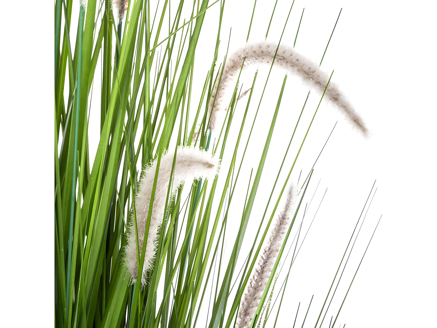 Bouquet artificiel d'herbes et Queues de chat en pot H 100 cm