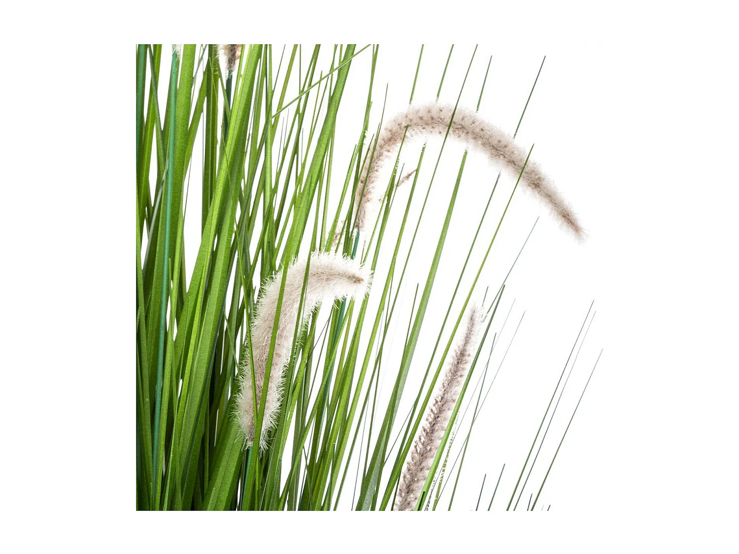 Bouquet artificiel d'herbes et Queues de chat en pot H 100 cm