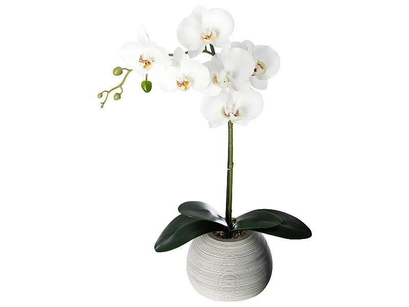 Plante artificielle Orchidée dans Pot en céramique H 50 cm