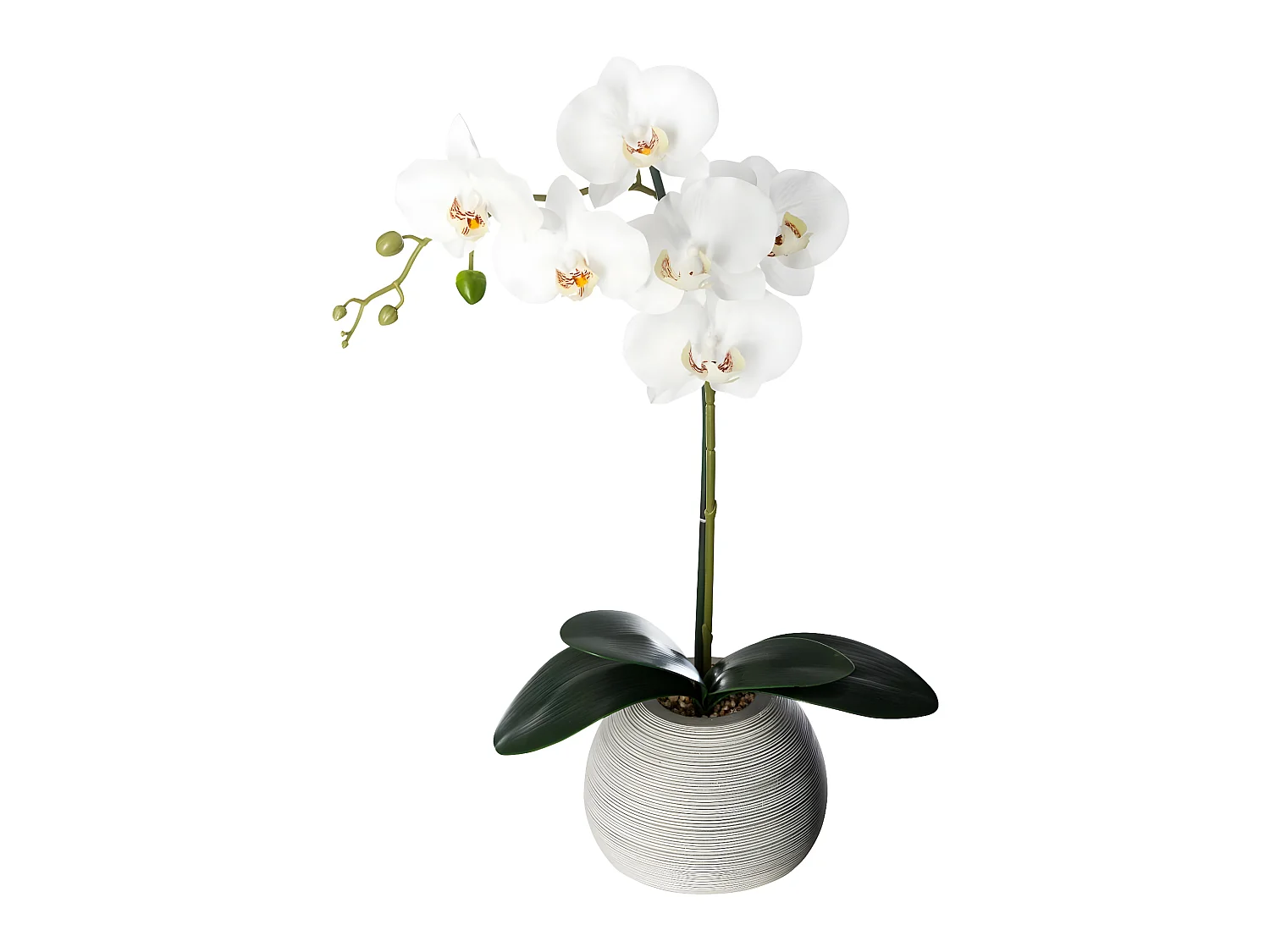 Plante artificielle Orchidée dans Pot en céramique H 50 cm
