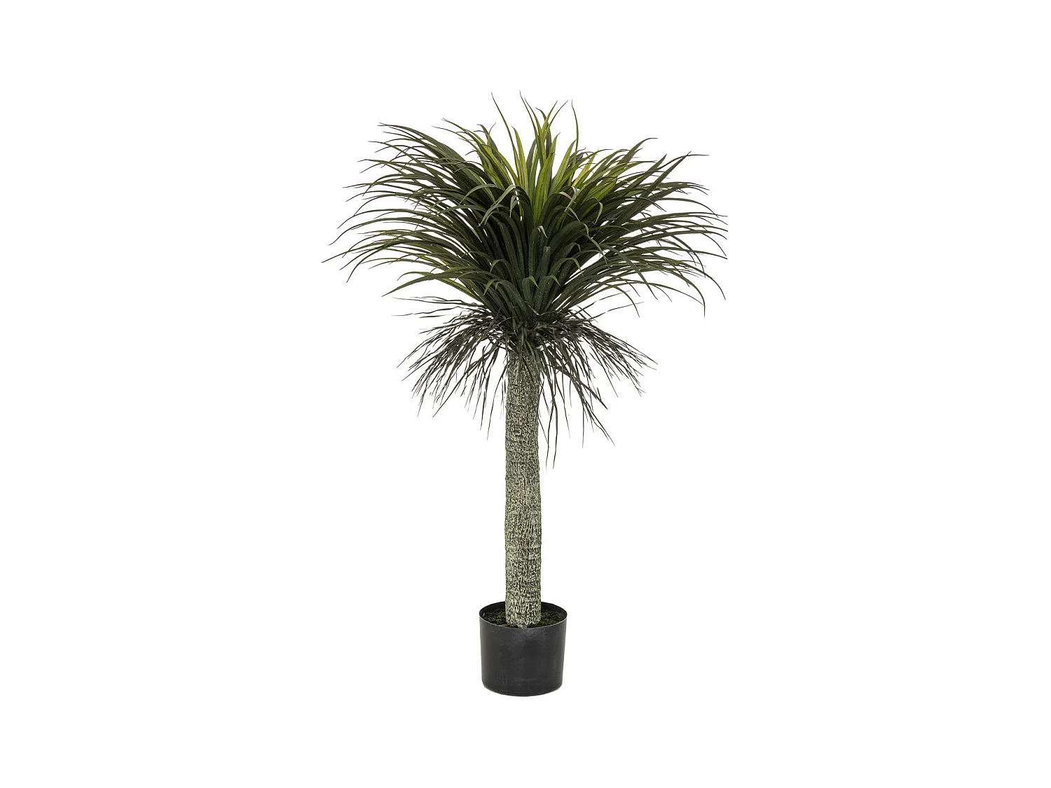 Plante artificielle Yucca en pot H 150 cm
