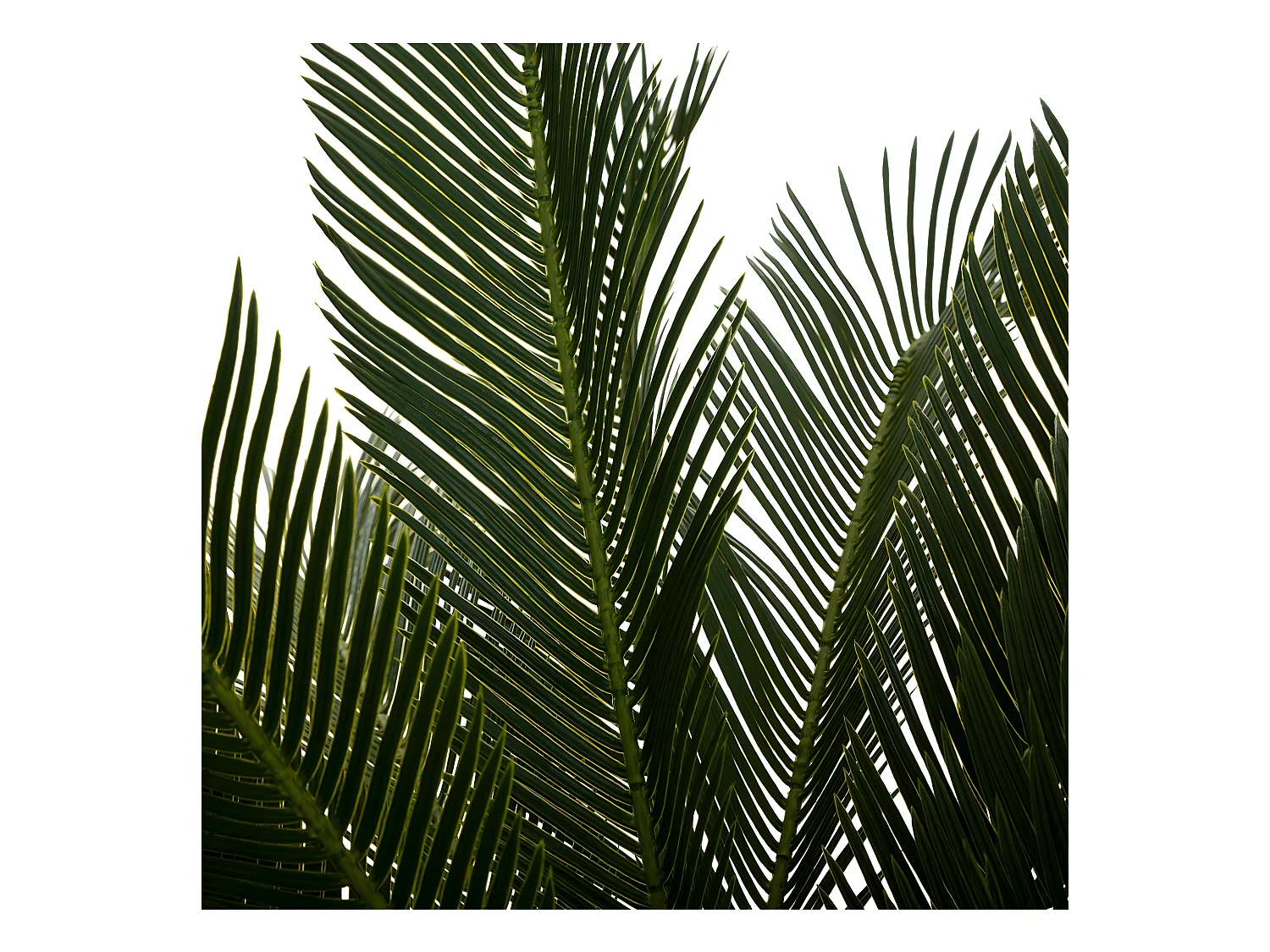 Plante artificielle Ananas en pot H 90 cm