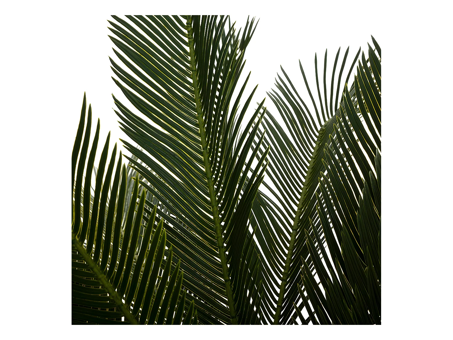 Plante artificielle Ananas en pot H 90 cm