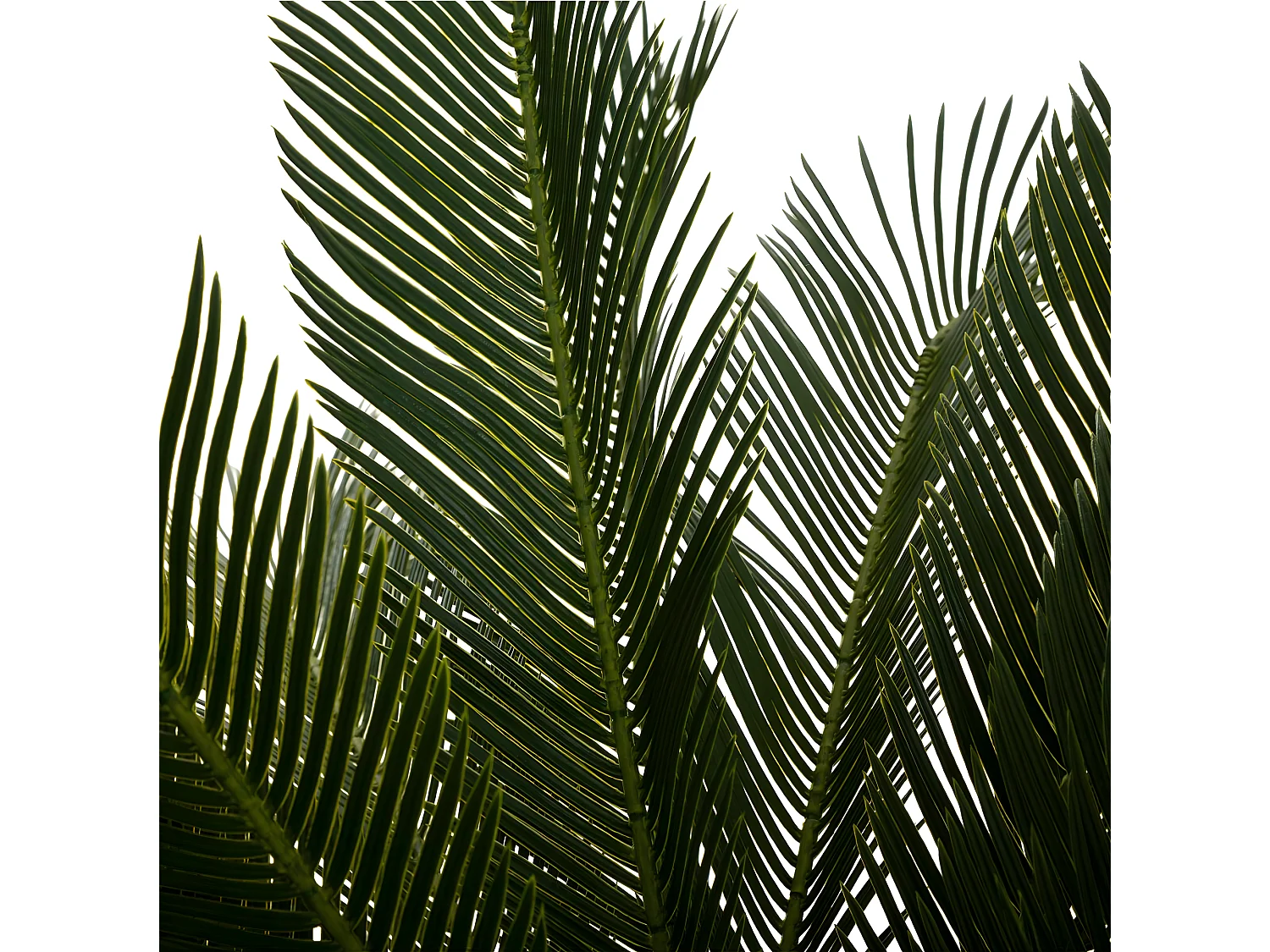 Plante artificielle Ananas en pot H 90 cm