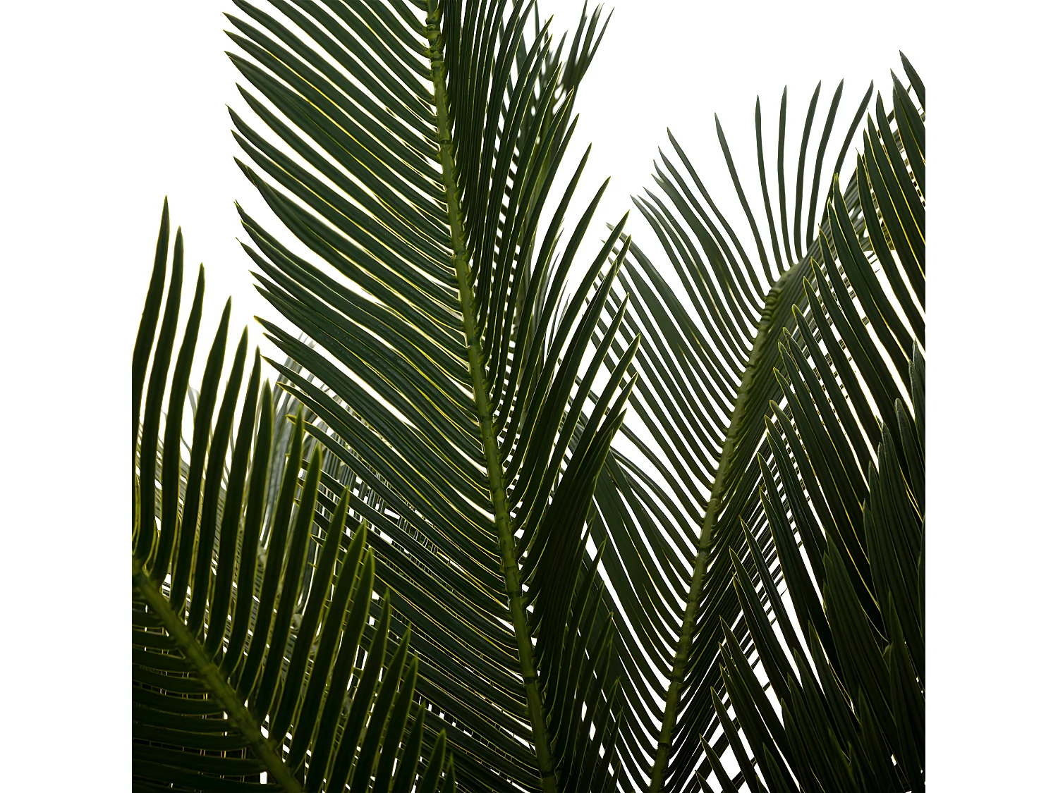 Plante artificielle Ananas en pot H 90 cm