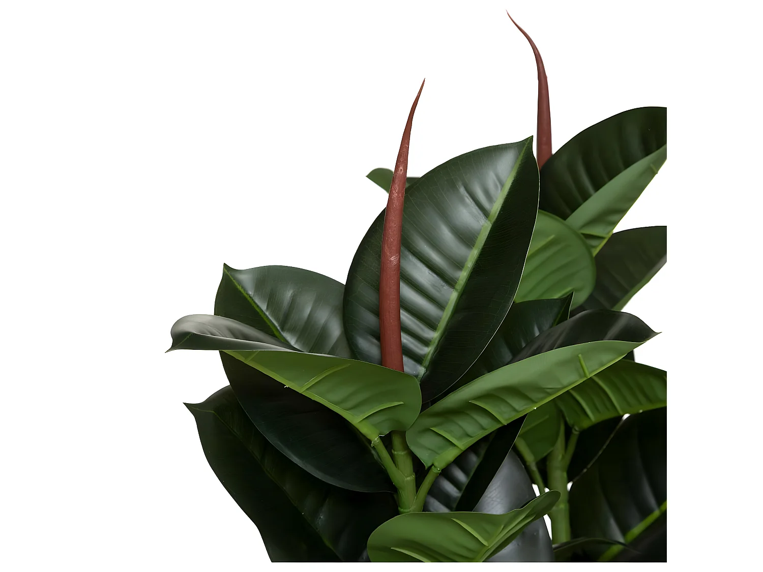 Plante artificielle Ficus Robusta en Pot H 120 cm