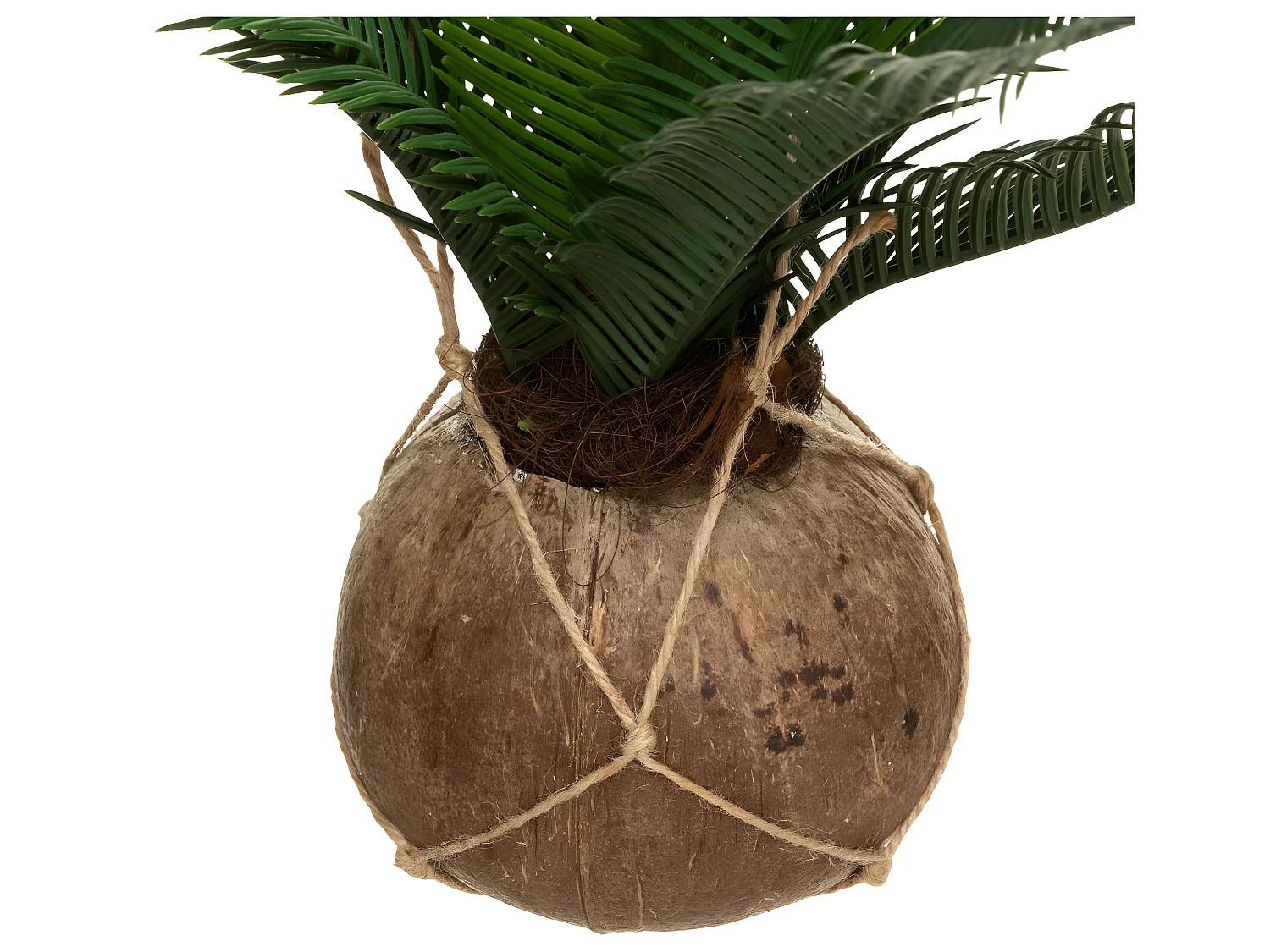 Palmier artificiel dans un Pot Coco H 50 cm