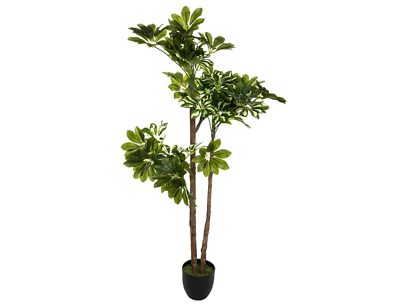 Plante artificielle Schefflera en pot  H 135 cm
