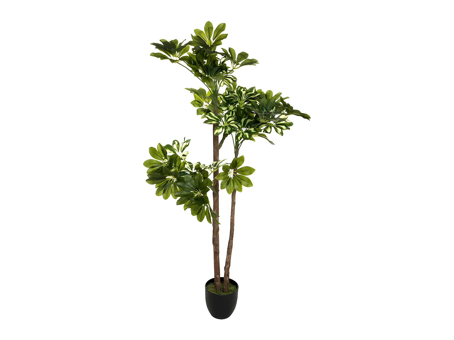 Plante artificielle Schefflera en pot  H 135 cm