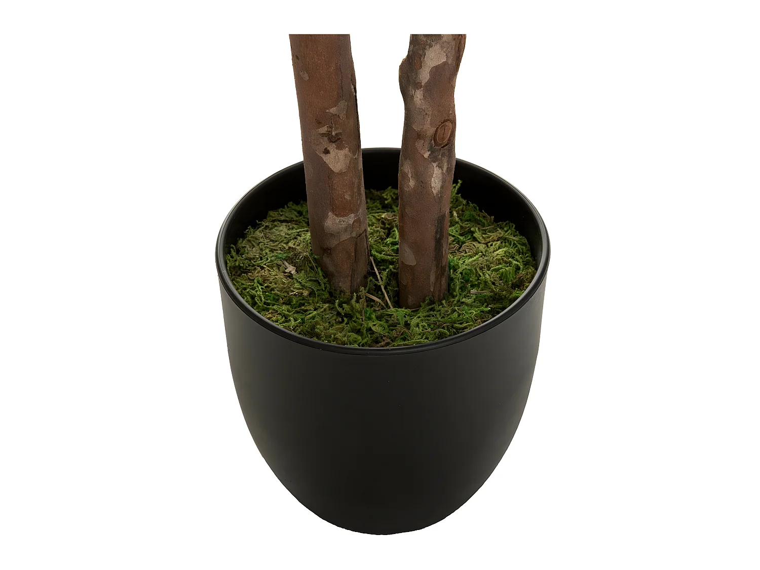 Plante artificielle Schefflera en pot  H 135 cm