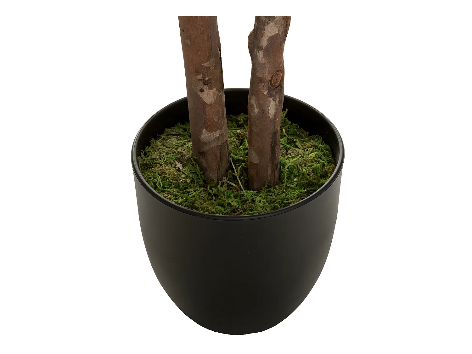 Plante artificielle Schefflera en pot  H 135 cm