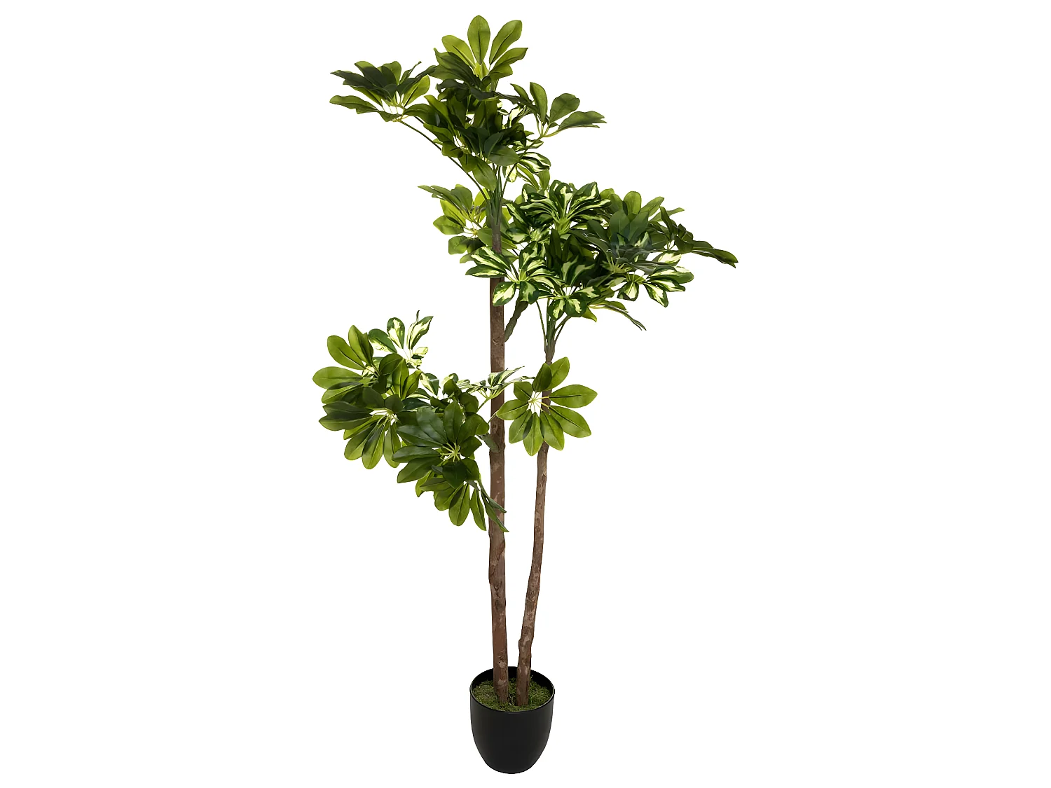 Plante artificielle Schefflera en pot  H 135 cm