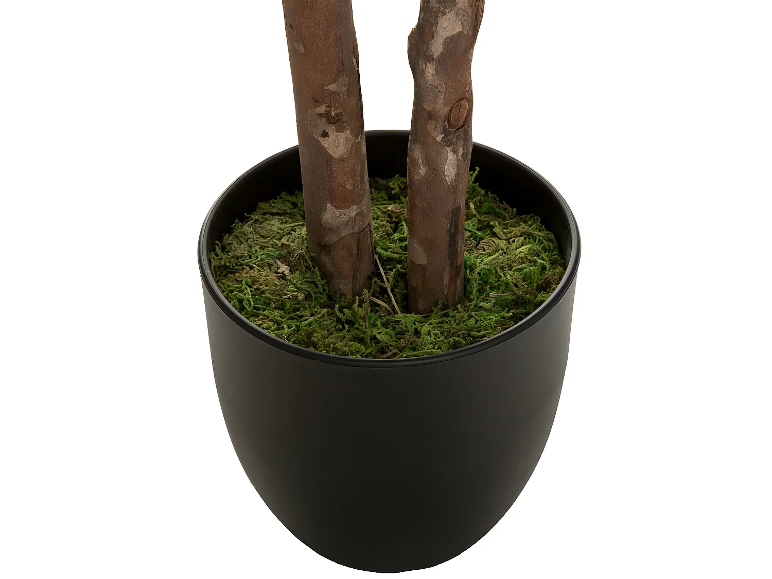 Plante artificielle Schefflera en pot  H 135 cm