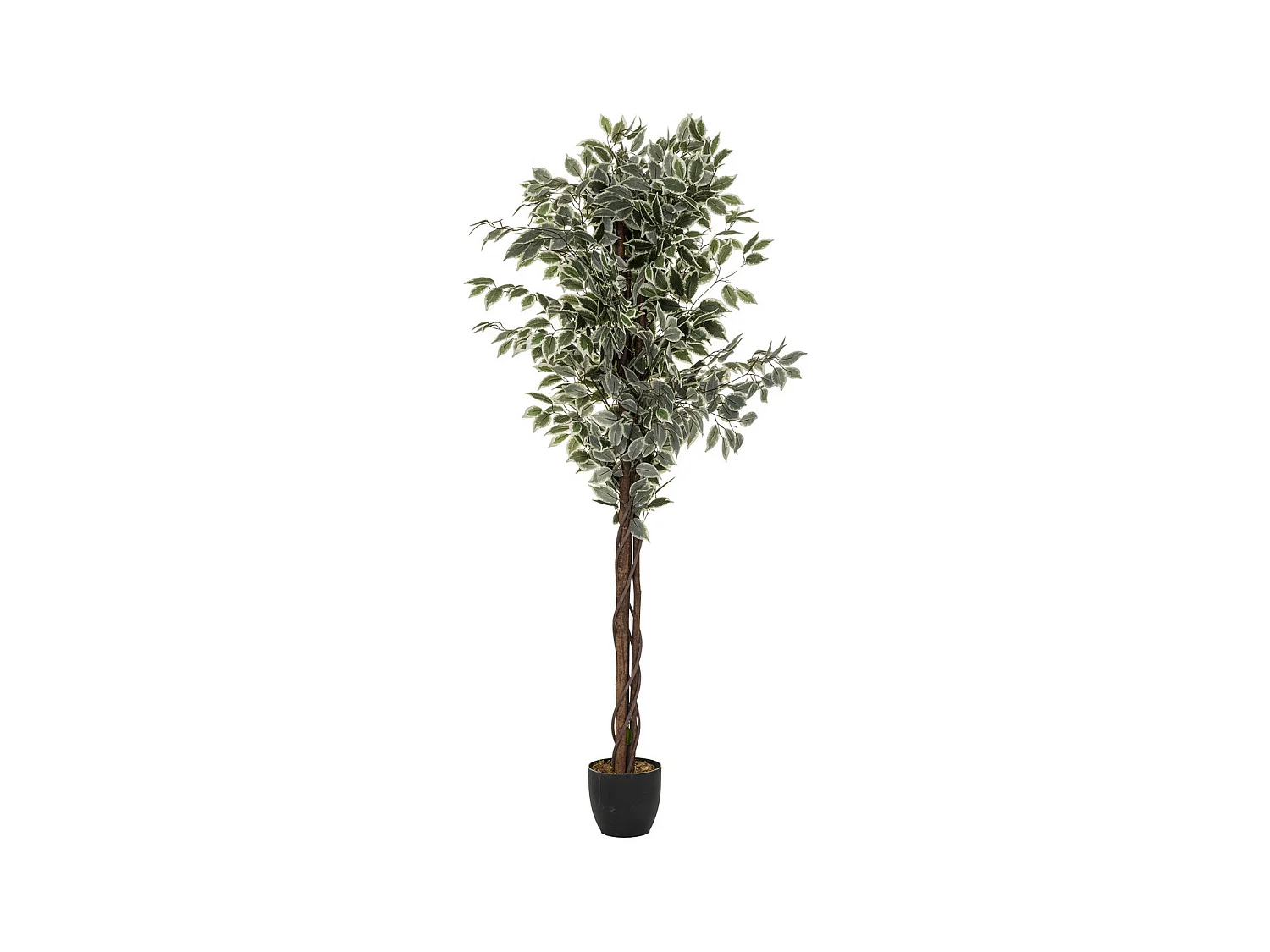 Plante artificielle Ficus en pot H 180 cm