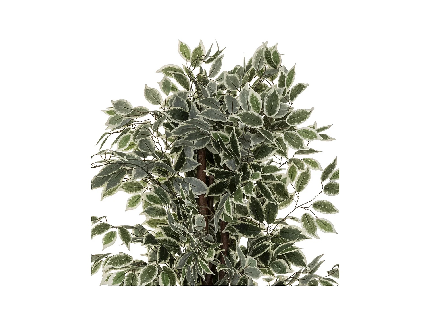 Plante artificielle Ficus en pot H 180 cm