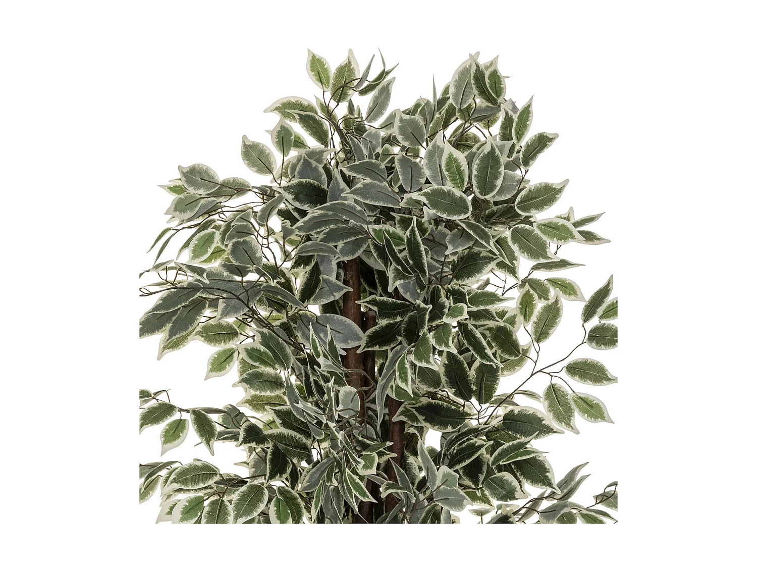 Plante artificielle Ficus en pot H 180 cm