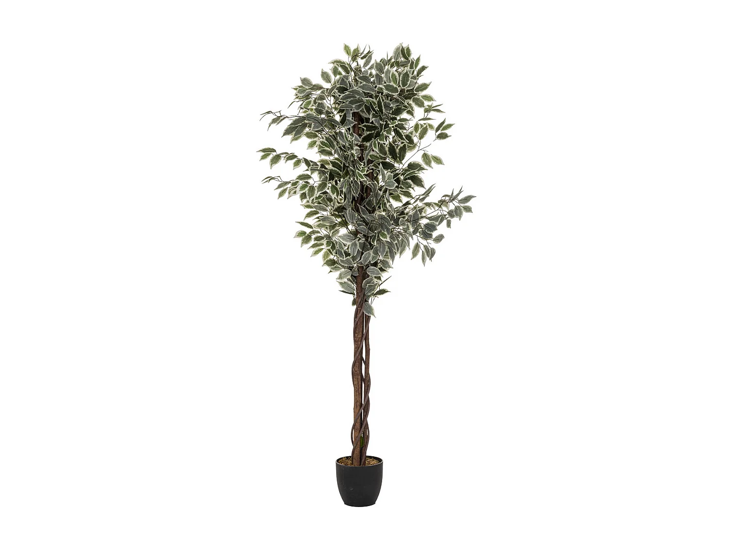 Plante artificielle Ficus en pot H 180 cm
